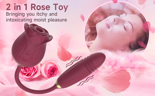 Jouet rose pour femme, vibromasseur de clitoris suçant la stimulation vaginale et anale 2 en 1